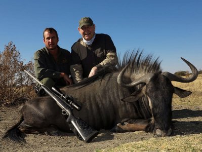 wta_699_JAB02I_bluewildebeest