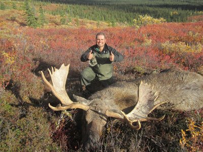 wta_702_AKOQKP_079_Moose(21)