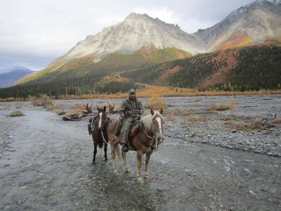 wta_702_CFOE1O_079_Moose(24)