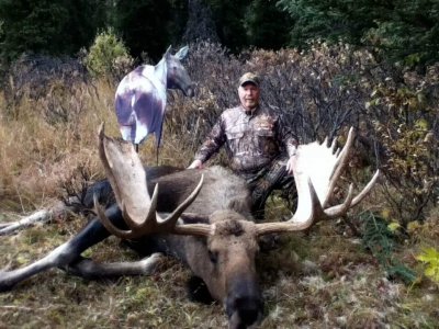 wta_702_MYJRJA_079_Moose(16)