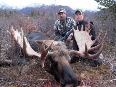 wta_702_UQU2H2_moose