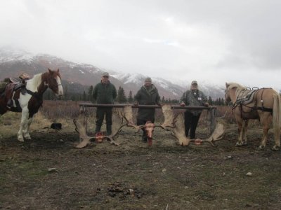 wta_702_VLAJ2Q_079_Moose(33)