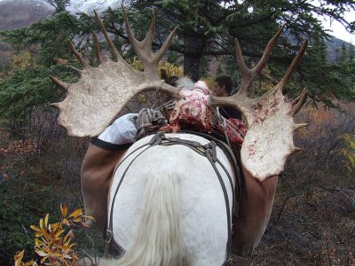 wta_702_X5WHBJ_079_Moose(6)