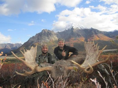 wta_702_XBGLD2_079_Moose(20)