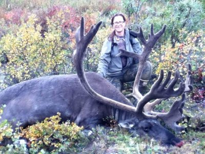 wta_703_BSYY4P_079_MTNCaribou(1)