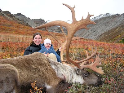 wta_703_VY5YP6_079_MTNCaribou(6)
