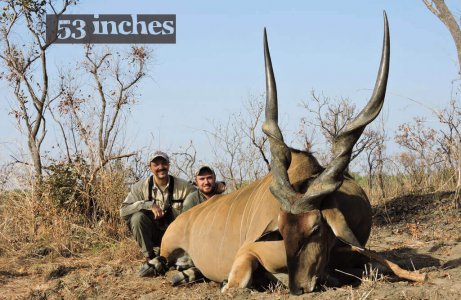 wta_706_HPC5DL_225-eland
