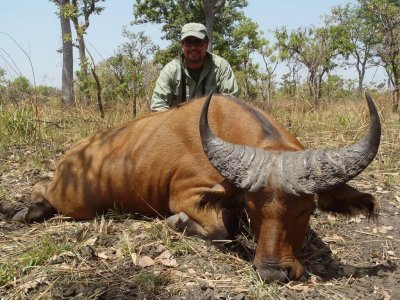 wta_706_UC44SV_225_Cameroon(7)