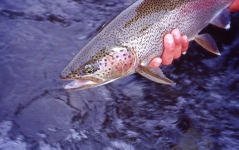 wta_708_N3K7JW_228_Fishing(37)