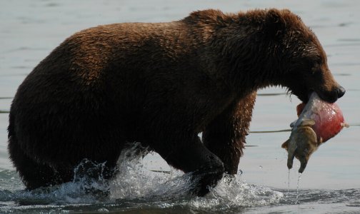 wta_708_N40TEZ_228_Fishing(32)