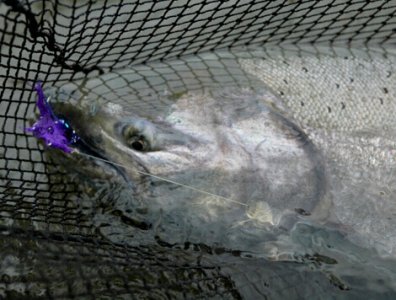 wta_708_QGTUM9_228_Fishing(18)