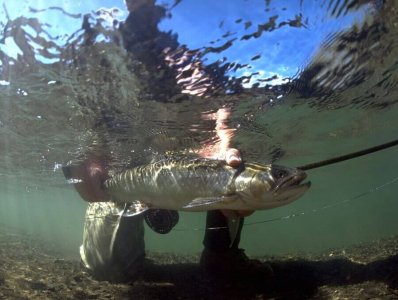 wta_708_YO4PS0_228_Fishing(2)