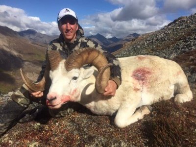 wta_712__featured_B7XYJE_BobbyThrasherTokSheep