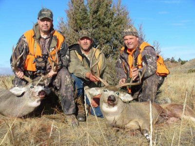 wta_724_W0QTA3_230MuleDeer(4)
