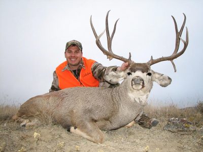 wta_724_wta_724__featured_U37V0Q_230MuleDeer9