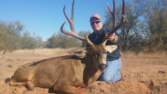 wta_726_3U7IFA_232_MuleDeer(2)