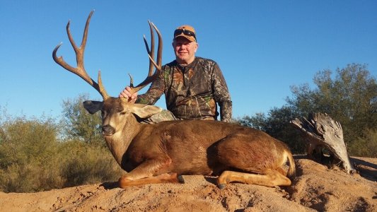 wta_726__featured_C95MA8_232_MuleDeer(3)