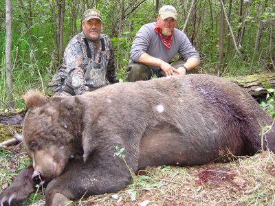wta_729_7TDLRJ_060_brownbear-15