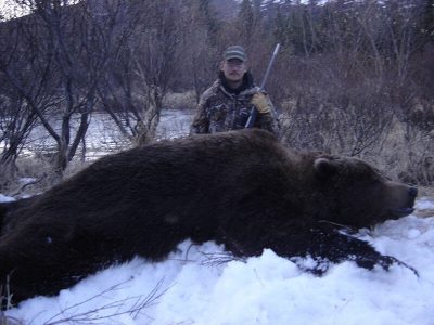 wta_729_GTLZ63_060_brownbear-18