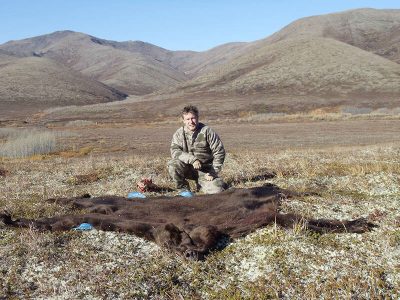 wta_729_M7Y5I0_060_brownbear-12