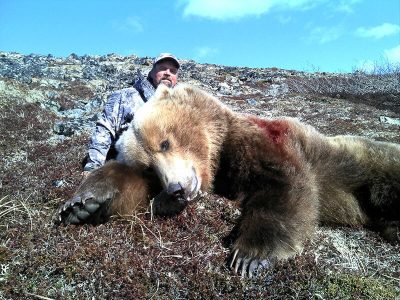 wta_729_P7T44B_060_brownbear-41