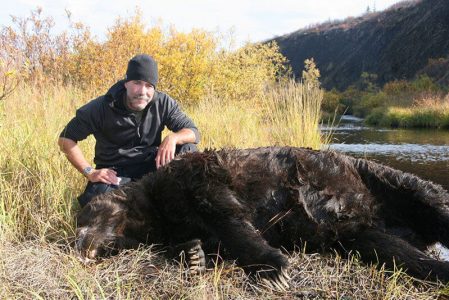 wta_729_RWJOER_060_brownbear-22