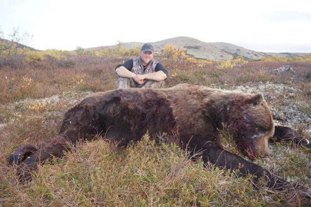 wta_729_T5EYTP_060_brownbear-39