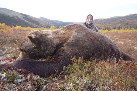 wta_729_W18C6Y_060_brownbear-38