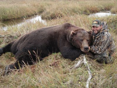 wta_729_Z5F59X_060_brownbear-26