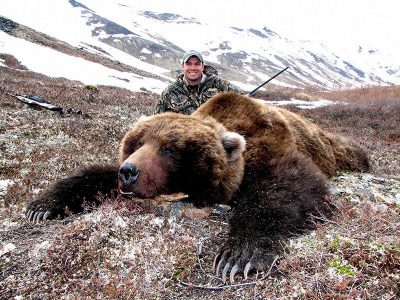 wta_729__featured_WBMECZ_060_brownbear-24
