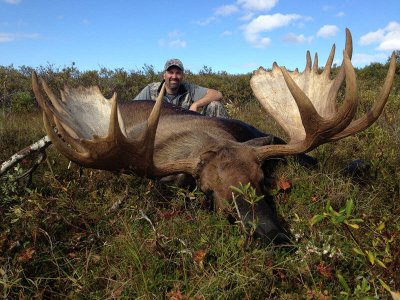 wta_730_0RJ6VX_060_akmoose-9