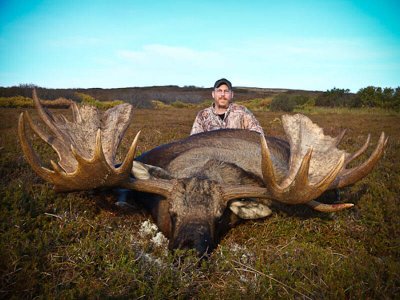 wta_730_GAM12D_060_akmoose-32