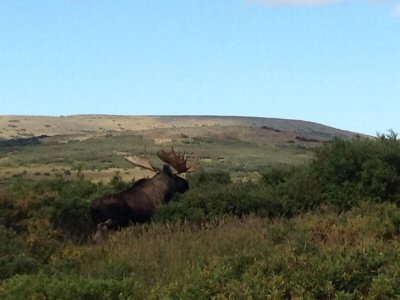 wta_730_LT5Q4J_060_akmoose-10