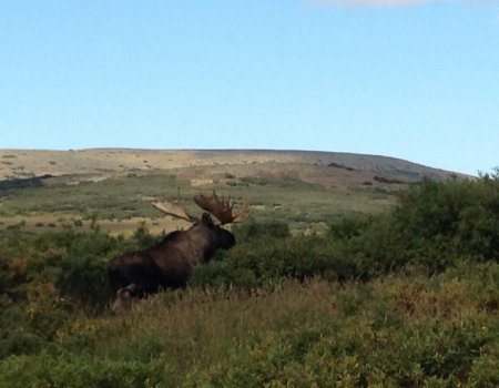 wta_730_LT5Q4J_060_akmoose-10