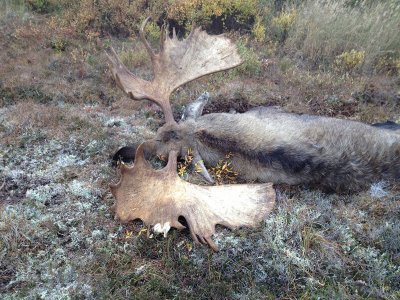 wta_730_QWURCR_060_akmoose-19