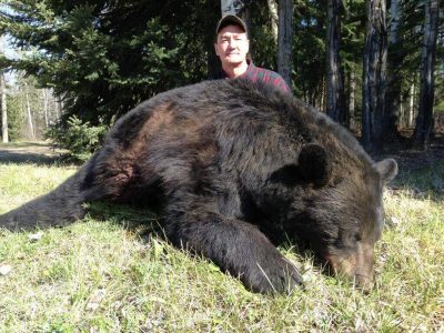 wta_733_5IWBBB_236_BlackBear(9)