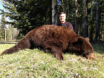 wta_733_5WJEAY_236_BlackBear(11)