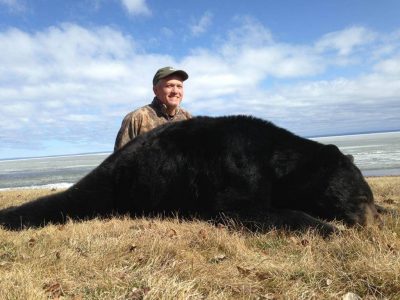 wta_733_B0KFFE_236_BlackBear(8)