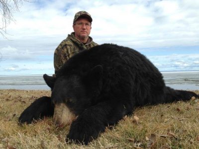 wta_733_LN40LL_236_BlackBear(10)