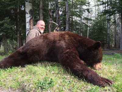 wta_733_N3HX8Z_236_BlackBear(5)