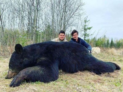 wta_733_X5R20V_Bear4