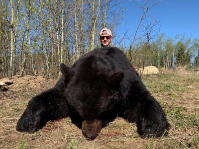 wta_733_ZGRKP2_Bear2