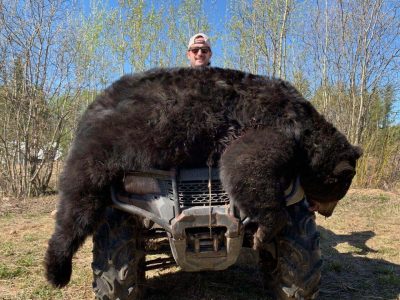 wta_733__featured_7FM4LL_Bear