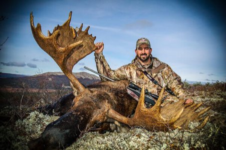 wta_739_FXVYH8_06-Moose(1)