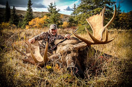 wta_739__featured_TN4L9Q_06-Moose(2)