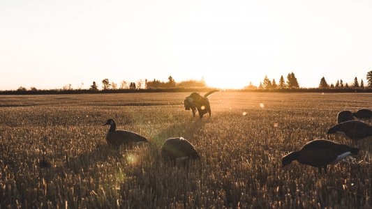 wta_769_22_Sask_Lifestyle_DSC04356