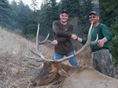 wta_772_4NXZTF_174_Elk(2)