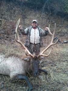 wta_772_8KJPXI_174_Elk(2)