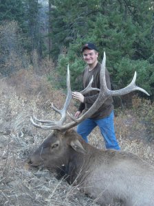 wta_772_U60WK7_174_Elk(3)