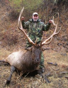 wta_772_WS4H9L_174_Elk(3)